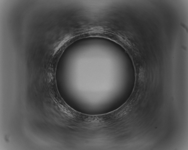 X0000101991400200807181137