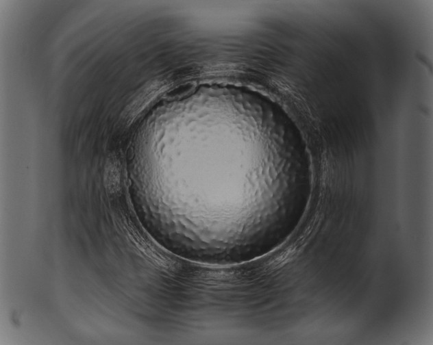 X0000101991401200807181137