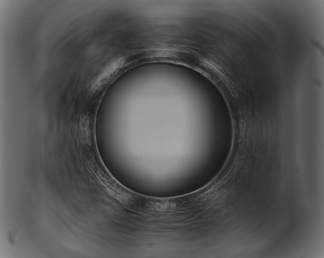 X0000101991403200807181137