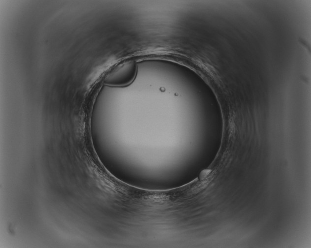 X0000101991406200807181137