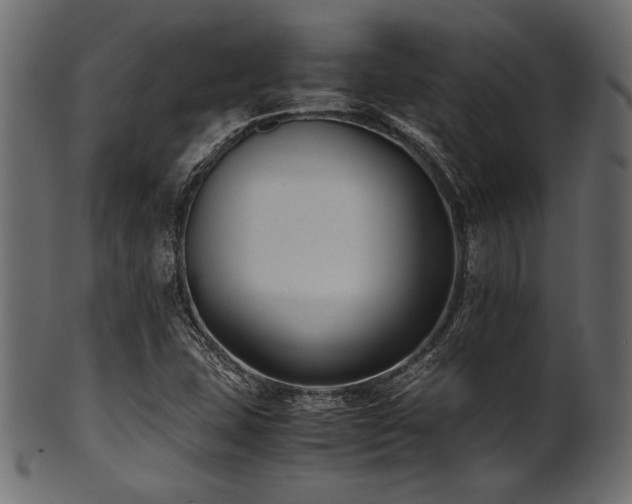 X0000101991407200807181137