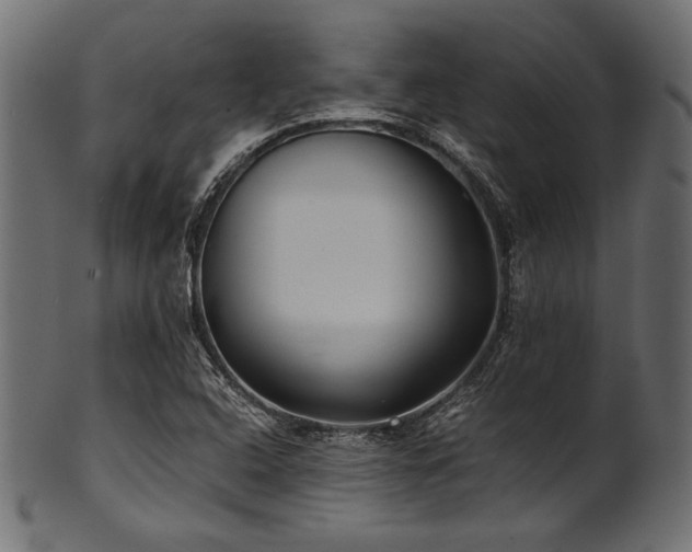 X0000101991408200807181137