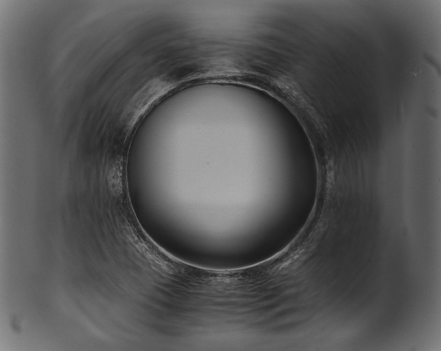 X0000101991409200807181137