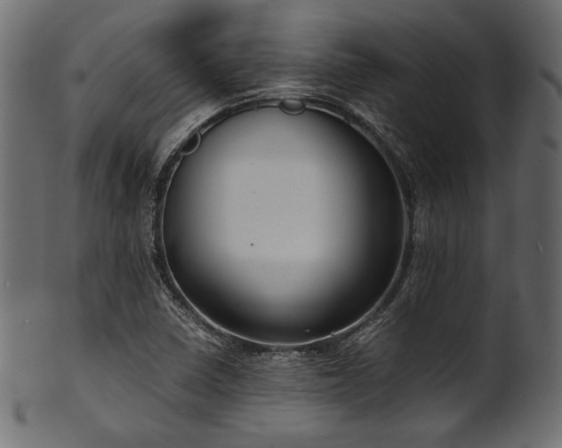 X0000101991410200807181137