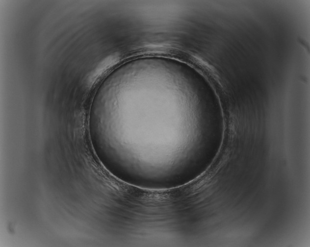X0000101991411200807181137