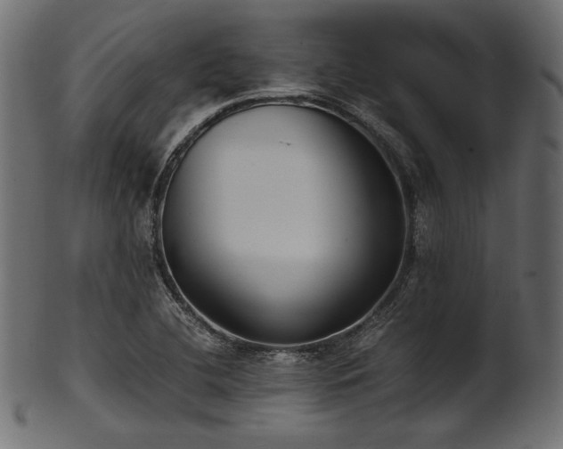 X0000101991412200807181137