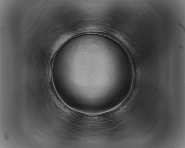 X0000101991413200807181137