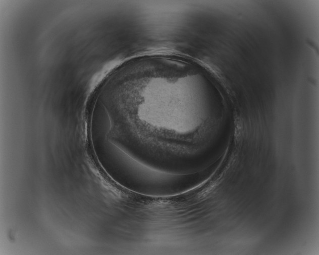 X0000101991414200807181137
