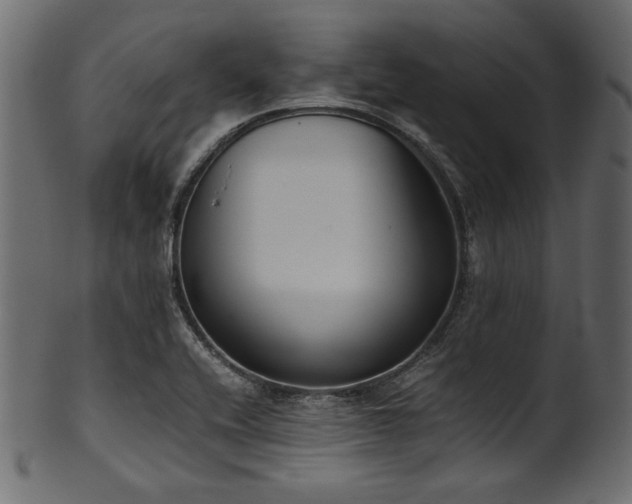 X0000101991416200807181137