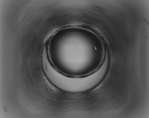 X0000101991417200807181137