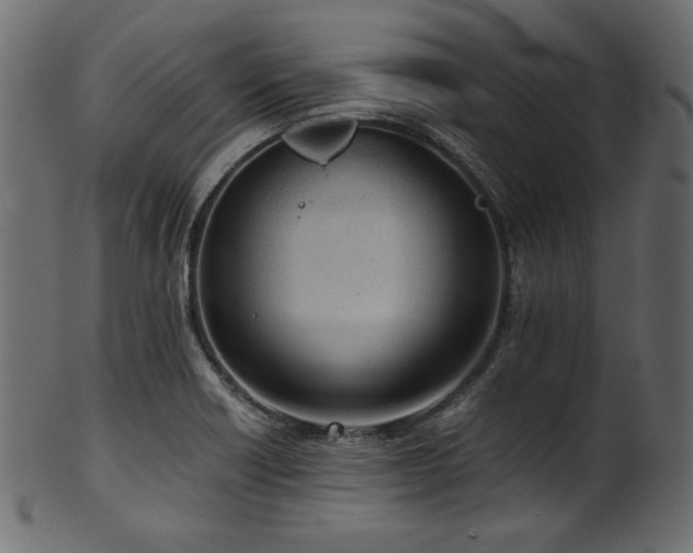 X0000101991418200807181137