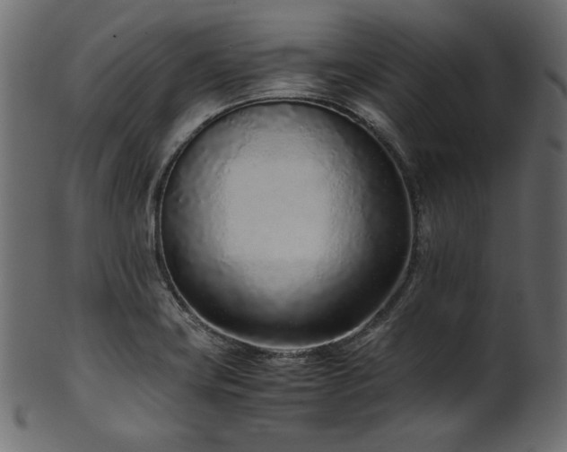 X0000101991419200807181137