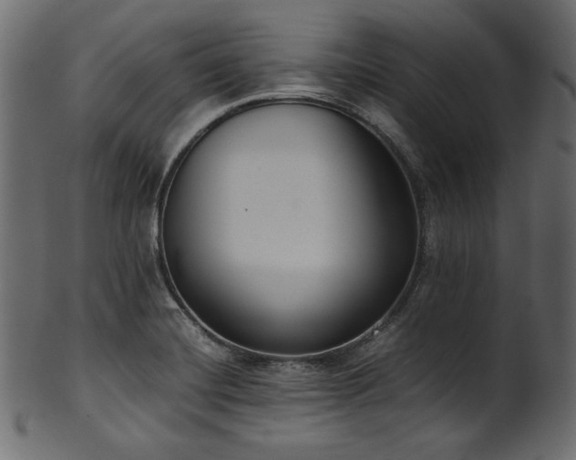 X0000101991420200807181137