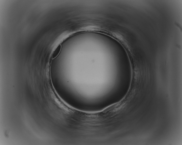 X0000101991421200807181137