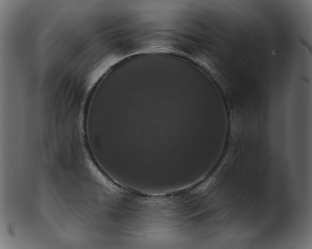X0000101991422200807181137