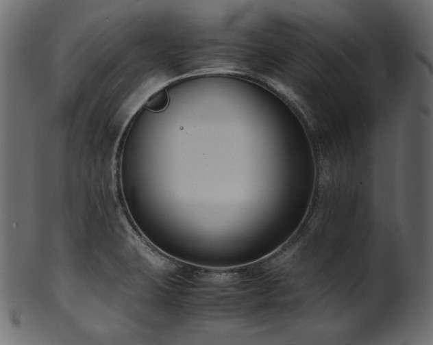 X0000101991423200807181137