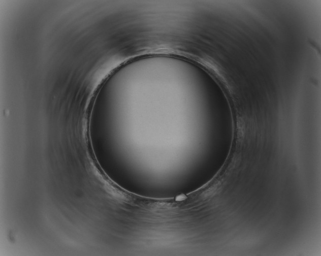 X0000101991424200807181137