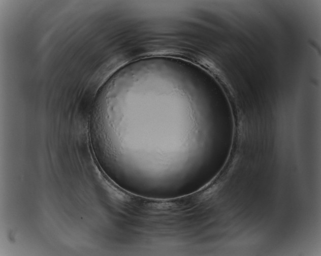 X0000101991425200807181137