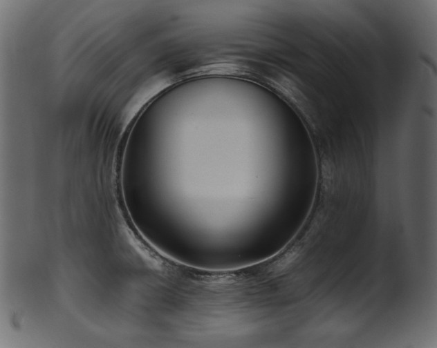 X0000101991426200807181137