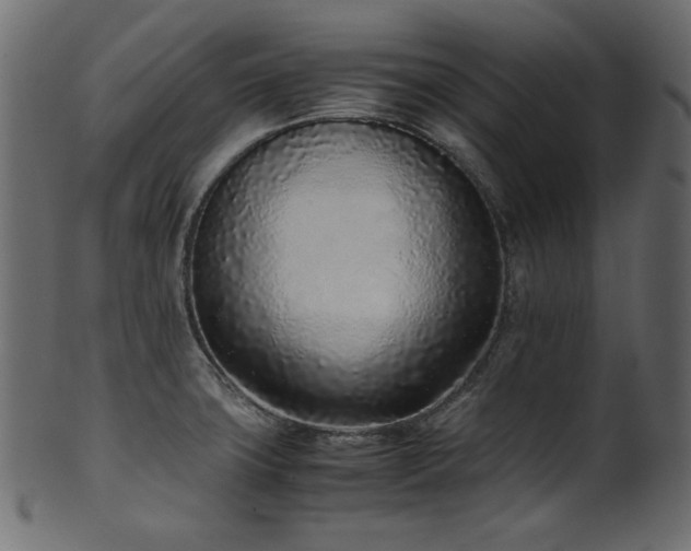 X0000101991427200807181137