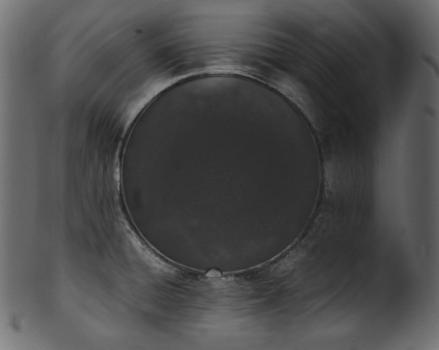 X0000101991428200807181138