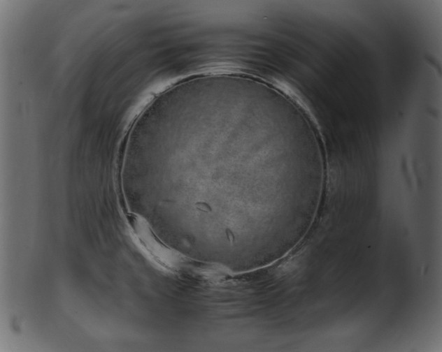X0000101991429200807181138
