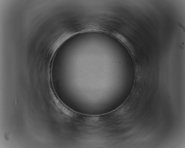 X0000101991431200807181138