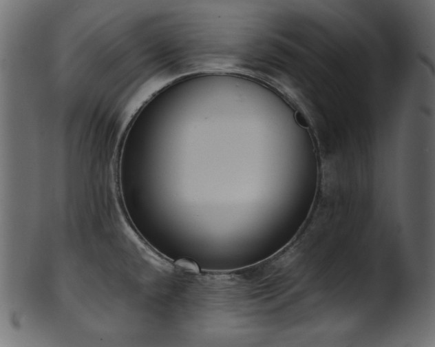 X0000101991432200807181138