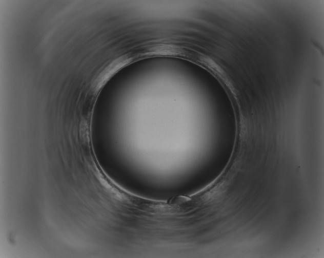 X0000101991433200807181138