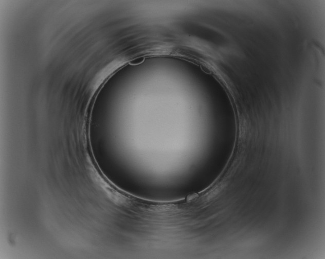 X0000101991434200807181138