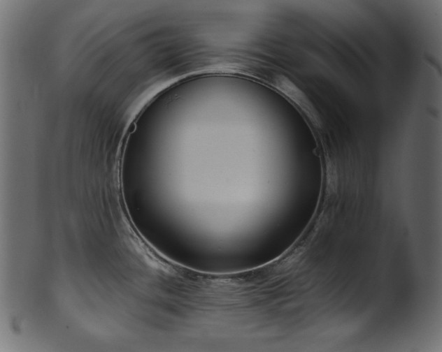 X0000101991436200807181138