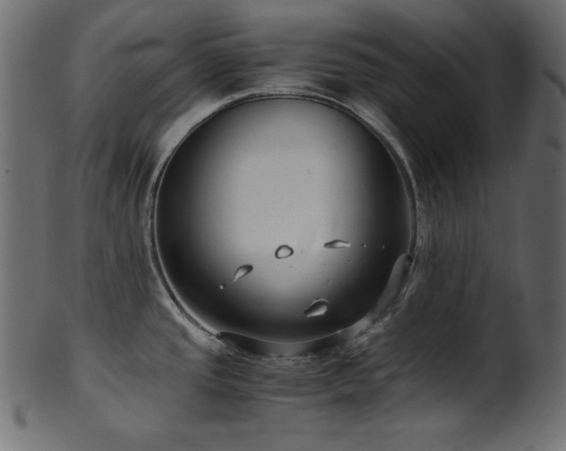 X0000101991437200807181138