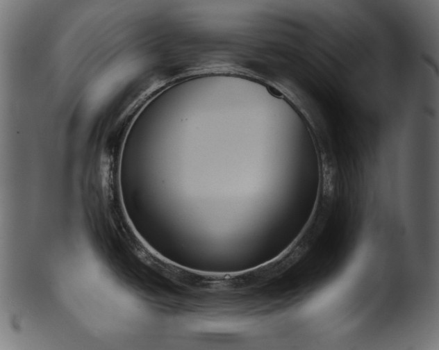 X0000101991438200807181138