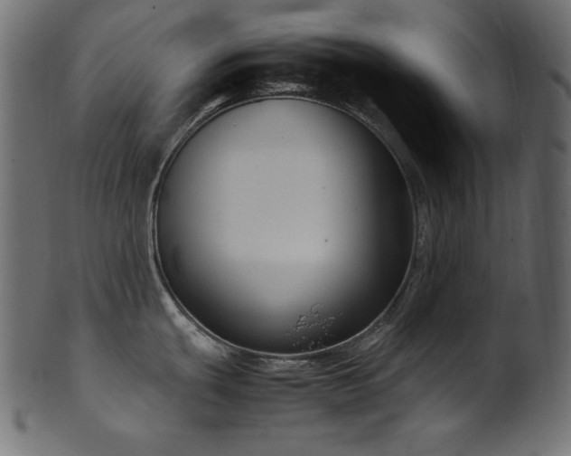 X0000101991439200807181138