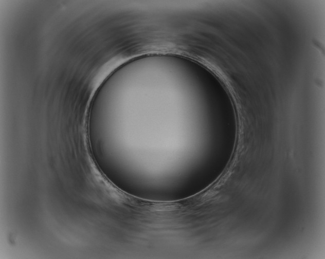 X0000101991440200807181138