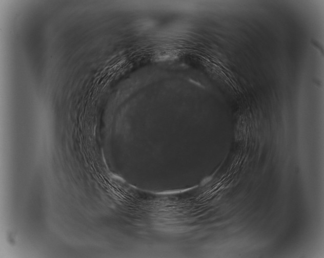 X0000101991441200807181137