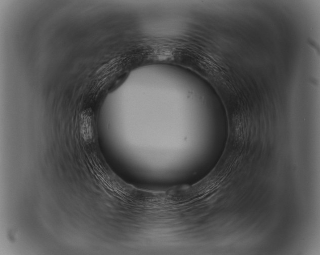 X0000101991442200807181137