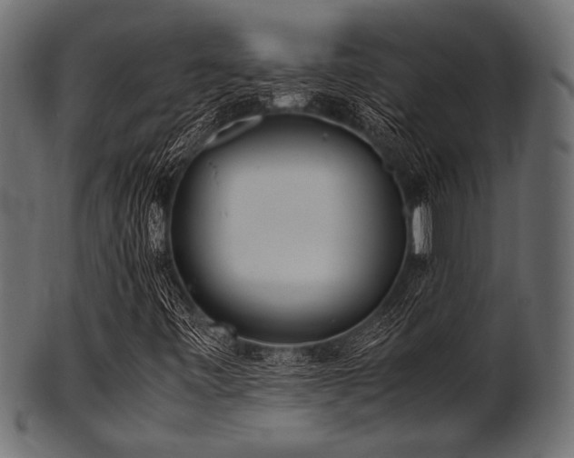X0000101991443200807181137