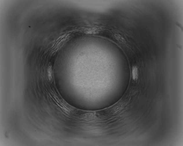 X0000101991444200807181137
