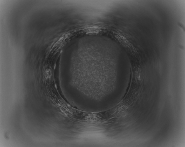 X0000101991445200807181137