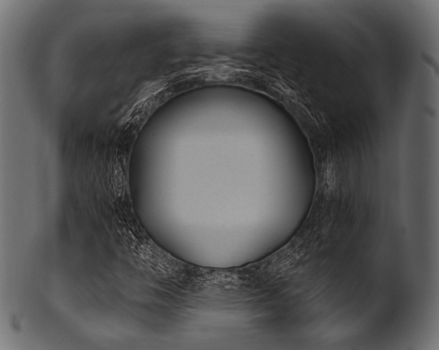 X0000101991446200807181137