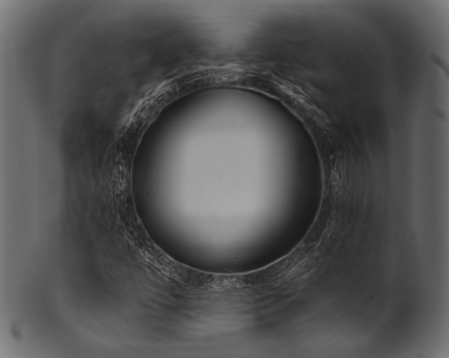 X0000101991447200807181137