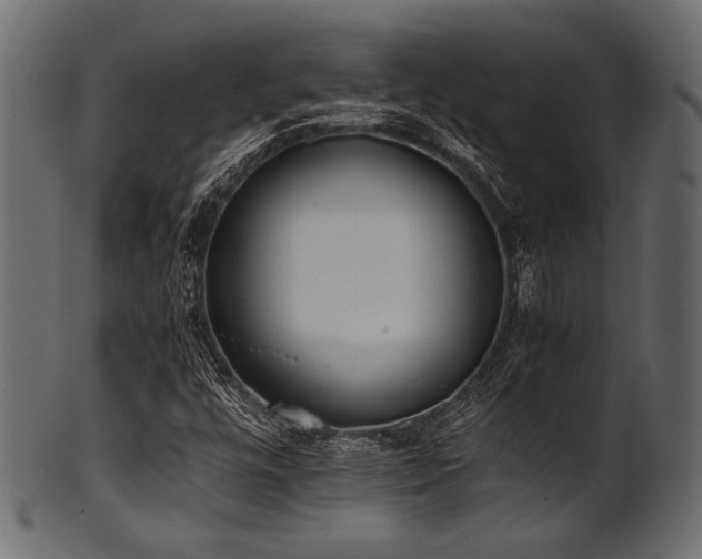 X0000101991448200807181137
