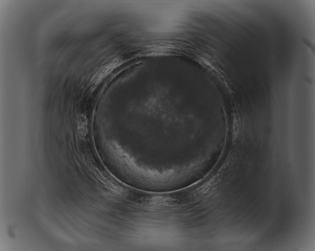 X0000101991449200807181137