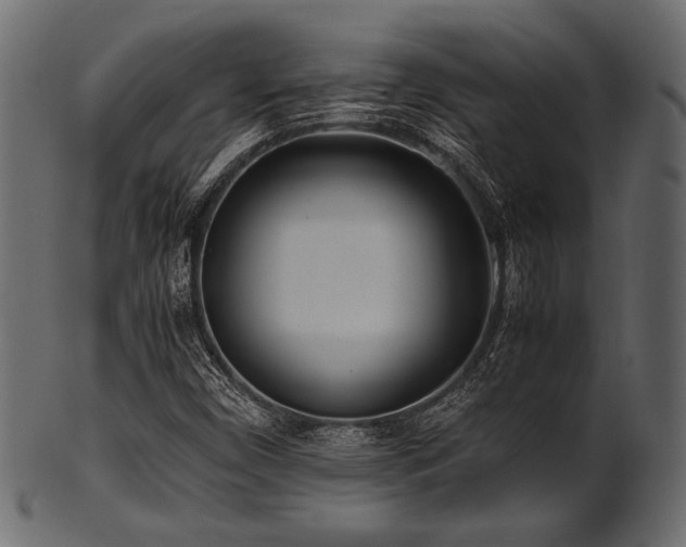 X0000101991450200807181137