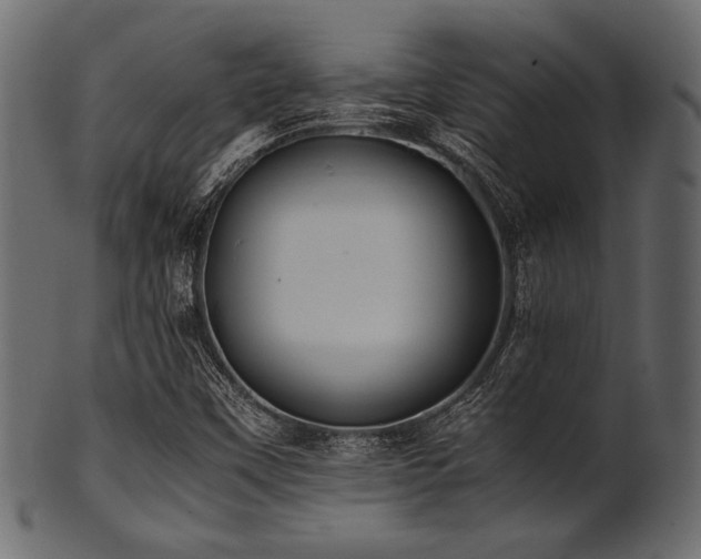 X0000101991451200807181137