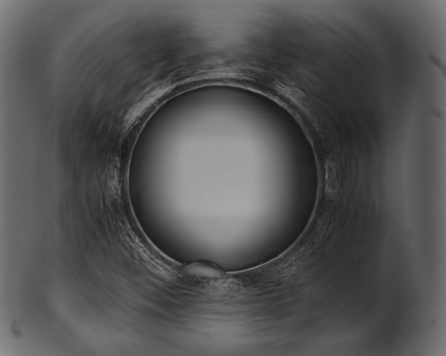 X0000101991452200807181137