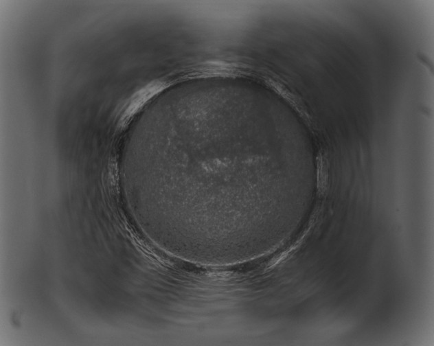 X0000101991453200807181137