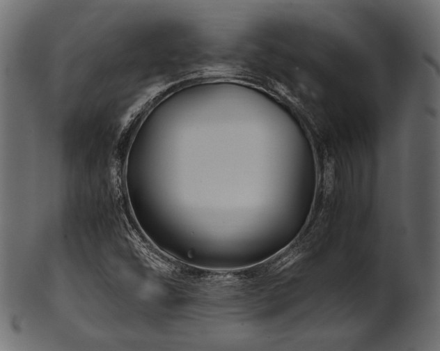 X0000101991454200807181137