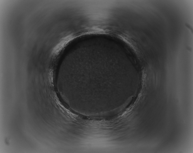 X0000101991455200807181137
